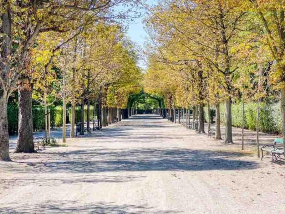 Smart Mit Balkon Am Augarten Park Naehe Zentrum * Wenen
